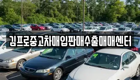 대전 동구 용전동 중고차 전문 김프로중고차매입판매수출매매센터
