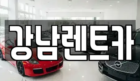 대전 동구 중동 렌트카 전문 강남렌트카