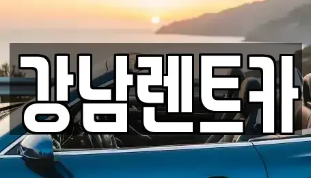 대전 서구 괴곡동 렌트카 전문 강남렌트카