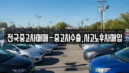 대전 서구 괴곡동 중고차매입 전문 전국중고차매매-중고차수출,사고노후차매입