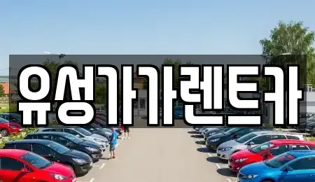 대전 유성구 가정동 렌트카 전문 유성가가렌트카