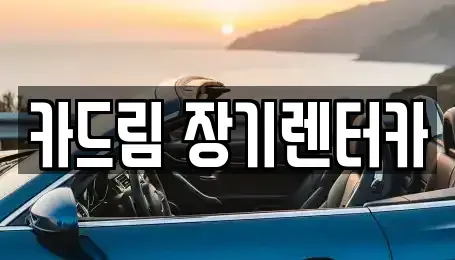대전 유성구 봉명동 장기렌트카 전문 카드림 장기렌터카