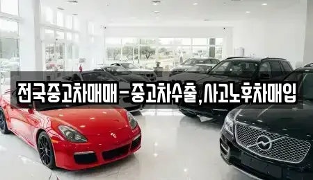 대전 유성구 상대동 중고차 전문 전국중고차매매-중고차수출,사고노후차매입