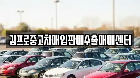 대전 유성구 상대동 중고차매입 전문 김프로중고차매입판매수출매매센터