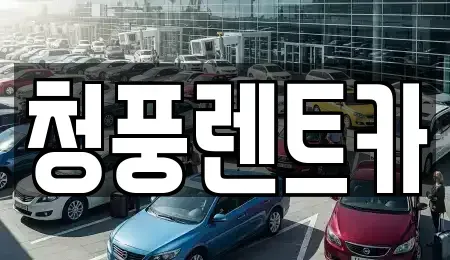 대전광역시 대덕구 갈전동 렌트카 전문 청풍렌트카