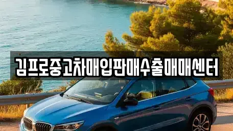 대전광역시 대덕구 대화동 중고차매매,단기렌트카,중고차매입,장기렌트카,중고차,렌트카
