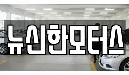대전광역시 대덕구 대화동 중고차매매 전문 뉴신한모터스
