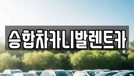 대전광역시 대덕구 미호동 렌트카 전문 승합차카니발렌트카