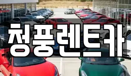 대전광역시 대덕구 미호동 렌트카 전문 청풍렌트카