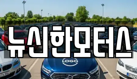 대전광역시 대덕구 미호동 중고차매매 전문 뉴신한모터스