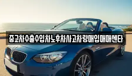 대전광역시 대덕구 부수동 중고차매입 전문 중고차수출수입차노후차사고차량매입매매센타