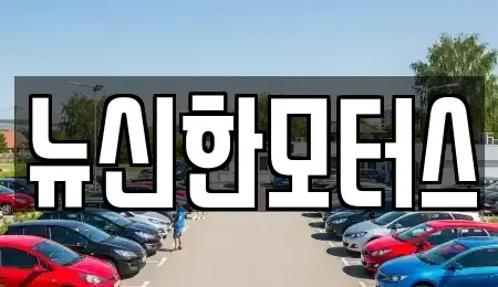 대전광역시 동구 가오동 중고차 전문 뉴신한모터스