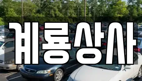 대전광역시 동구 대별동 중고차 전문 계룡상사