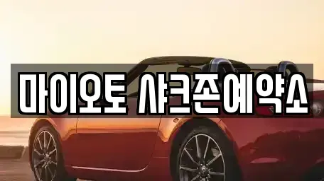 대전광역시 서구 월평동 단기렌트카 전문 마이오토 샤크존예약소