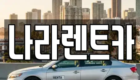 대전광역시 서구 월평동 렌트카 전문 나라렌트카