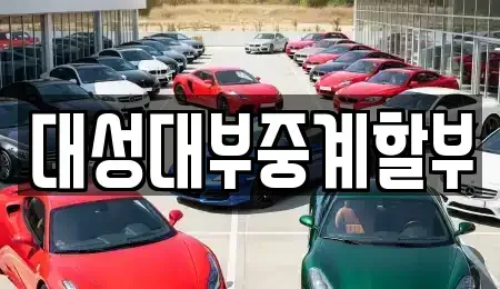 대전광역시 서구 월평동 장기렌트카 전문 대성대부중계할부