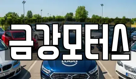 대전광역시 서구 월평동 중고차 전문 금강모터스