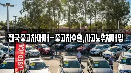 대전광역시 서구 월평동 중고차매입 전문 전국중고차매매-중고차수출,사고노후차매입
