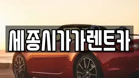 대전광역시 유성구 단기렌트카 전문 세종시가가렌트카