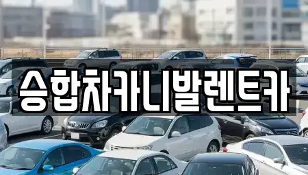 대전광역시 유성구 신성동 렌트카 전문 승합차카니발렌트카