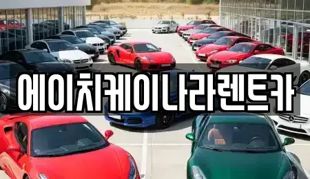 대전광역시 유성구 신성동 렌트카 전문 에이치케이나라렌트카