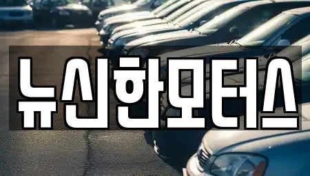 대전광역시 유성구 신성동 중고차 전문 뉴신한모터스