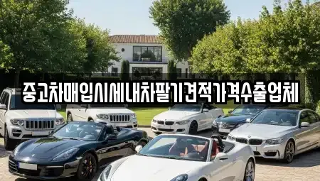 대전광역시 유성구 신성동 중고차매입 전문 중고차매입시세내차팔기견적가격수출업체