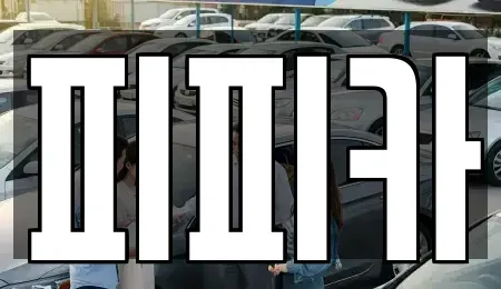 대전광역시 유성구 용계동 렌트카 전문 피피카