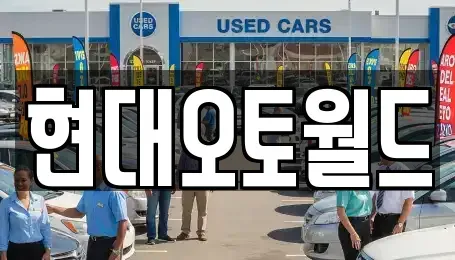 대전광역시 유성구 중고차 전문 현대오토월드