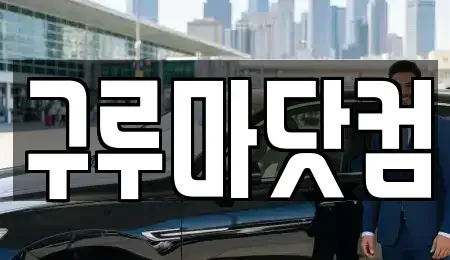 대전광역시 유성구 하기동 장기렌트카 전문 구루마닷컴