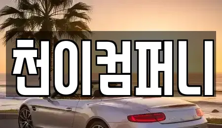 대전광역시 유성구 하기동 장기렌트카 전문 천이컴퍼니