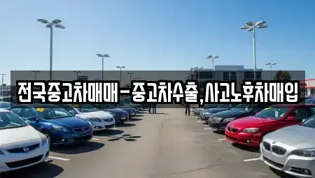 대전광역시 유성구 하기동 중고차 전문 전국중고차매매-중고차수출,사고노후차매입