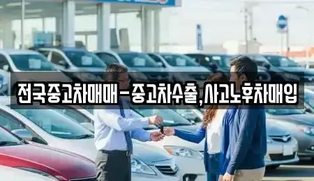 부산 강서구 지사동 중고차 전문 전국중고차매매-중고차수출,사고노후차매입