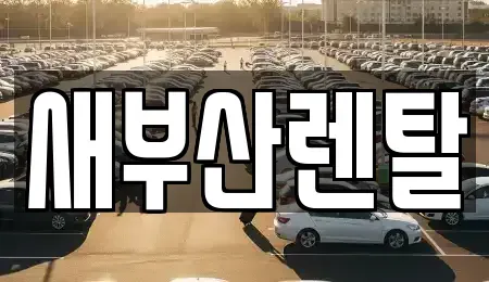 부산 기장군 철마면 렌트카 전문 새부산렌탈