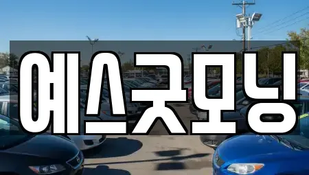 부산 남구 문현동 렌트카 전문 예스굿모닝