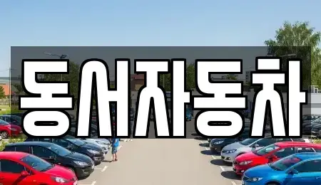 부산 남구 문현동 중고차 전문 동서자동차