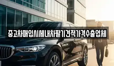 부산 남구 문현동 중고차매입 전문 중고차매입시세내차팔기견적가격수출업체