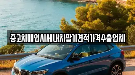 부산 사하구 감천동 중고차매입 전문 중고차매입시세내차팔기견적가격수출업체