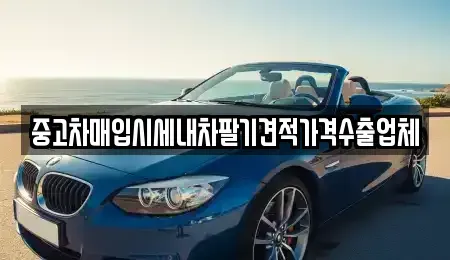 부산 서구 동대신동1가 중고차매입 전문 중고차매입시세내차팔기견적가격수출업체