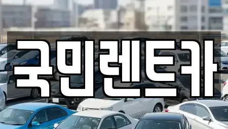 부산 서구 서대신동1가 렌트카 전문 국민렌트카
