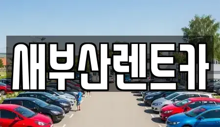 부산 서구 서대신동1가 렌트카 전문 새부산렌트카
