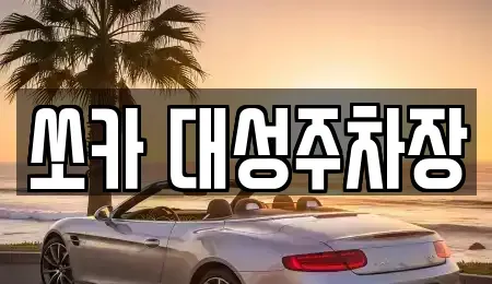 부산 서구 서대신동1가 렌트카 전문 쏘카 대성주차장