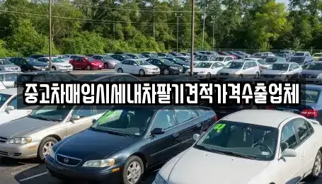 부산 서구 서대신동1가 중고차 전문 중고차매입시세내차팔기견적가격수출업체