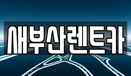 부산 서구 토성동4가 렌트카 전문 새부산렌트카