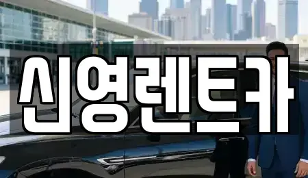 부산 수영구 망미동 장기렌트카 전문 신영렌트카