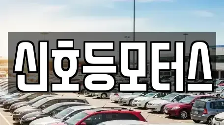 부산 수영구 망미동 중고차 전문 신호등모터스
