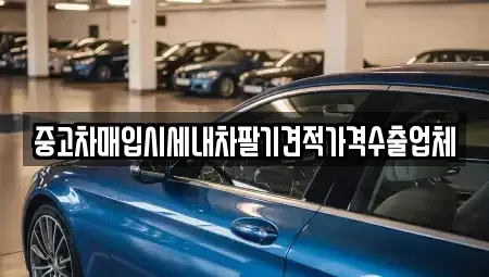 부산 수영구 망미동 중고차 전문 중고차매입시세내차팔기견적가격수출업체