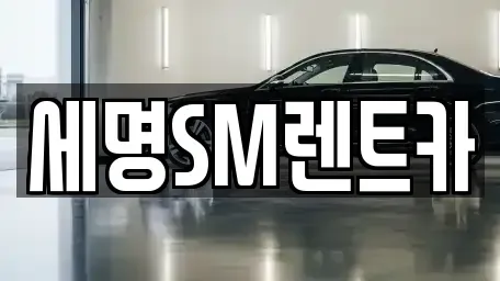부산 영도구 봉래동5가 렌트카 전문 세명SM렌트카