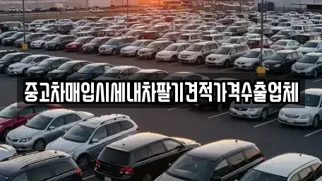 부산 영도구 봉래동5가 중고차매입 전문 중고차매입시세내차팔기견적가격수출업체