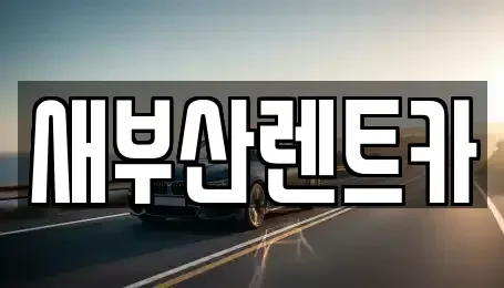 부산 중구 남포동1가 렌트카 전문 새부산렌트카